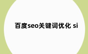 百度seo关键词优化 si