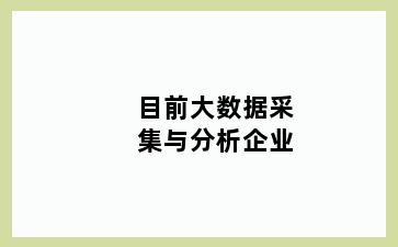 目前大数据采集与分析企业