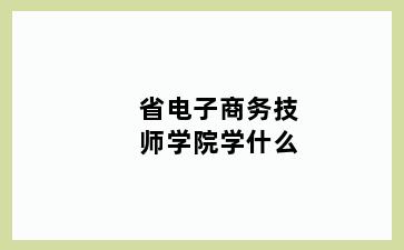 省电子商务技师学院学什么