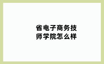 省电子商务技师学院怎么样