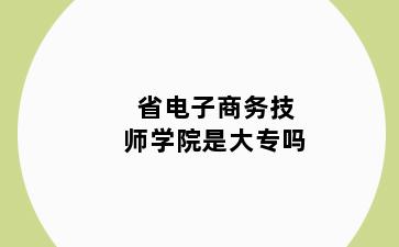 省电子商务技师学院是大专吗