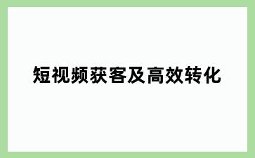 短视频获客及高效转化