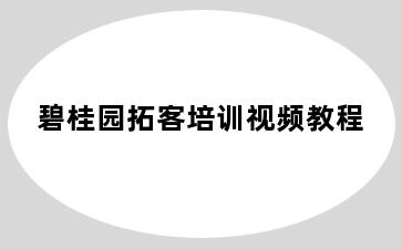 碧桂园拓客培训视频教程