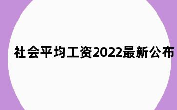 社会平均工资2022最新公布