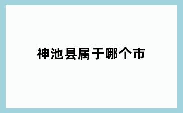 神池县属于哪个市