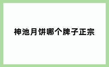 神池月饼哪个牌子正宗