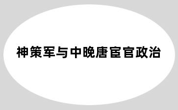 神策军与中晚唐宦官政治