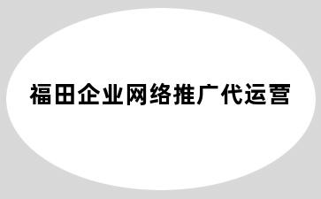 福田企业网络推广代运营