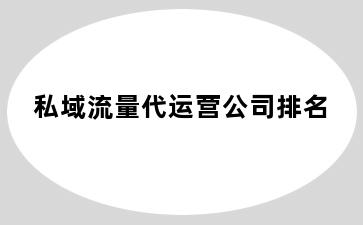 私域流量代运营公司排名