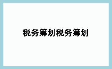 税务筹划税务筹划