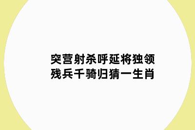 突营射杀呼延将独领残兵千骑归猜一生肖