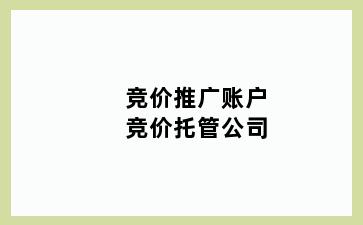 竞价推广账户竞价托管公司