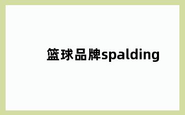 篮球品牌spalding