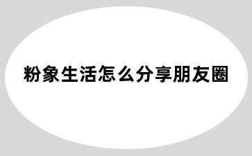 粉象生活怎么分享朋友圈