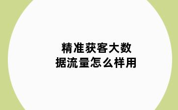 精准获客大数据流量怎么样用