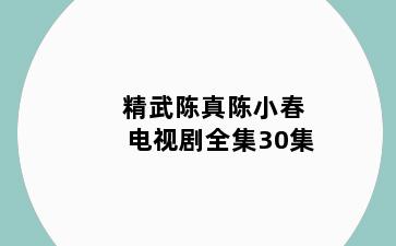 精武陈真陈小春电视剧全集30集