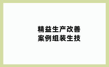 精益生产改善案例组装生技