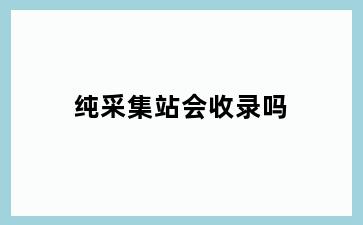 纯采集站会收录吗