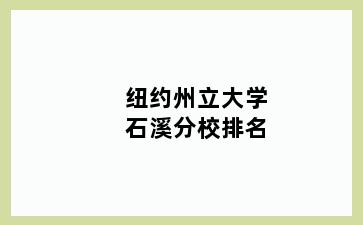 纽约州立大学石溪分校排名