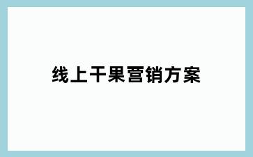 线上干果营销方案