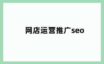 网店运营推广seo