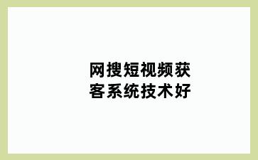 网搜短视频获客系统技术好