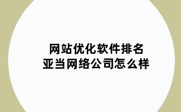 网站优化软件排名亚当网络公司怎么样