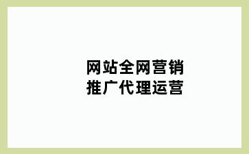 网站全网营销推广代理运营