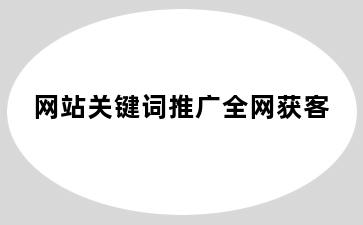 网站关键词推广全网获客