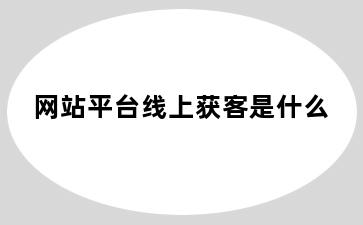 网站平台线上获客是什么