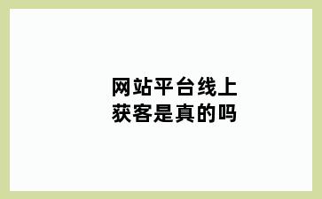 网站平台线上获客是真的吗