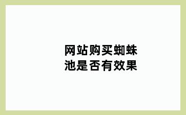 网站购买蜘蛛池是否有效果