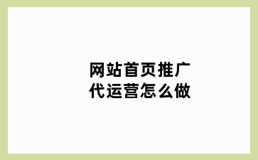 网站首页推广代运营怎么做