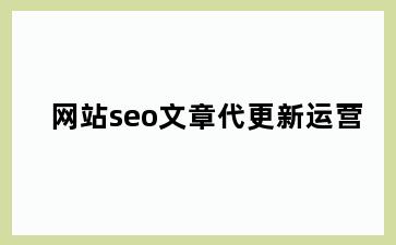 网站seo文章代更新运营