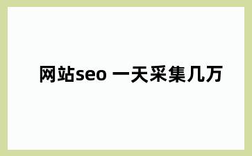 网站seo 一天采集几万