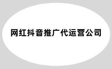 网红抖音推广代运营公司