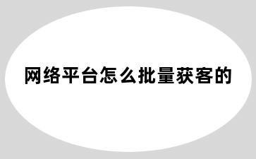 网络平台怎么批量获客的