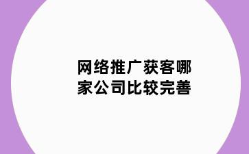 网络推广获客哪家公司比较完善