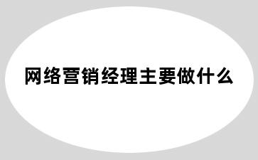 网络营销经理主要做什么