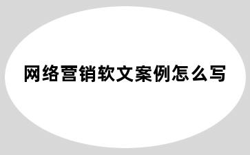 网络营销软文案例怎么写