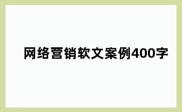 网络营销软文案例400字