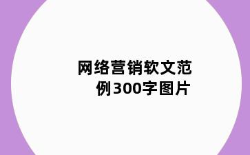 网络营销软文范例300字图片