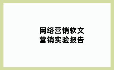 网络营销软文营销实验报告