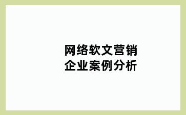 网络软文营销企业案例分析