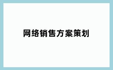 网络销售方案策划