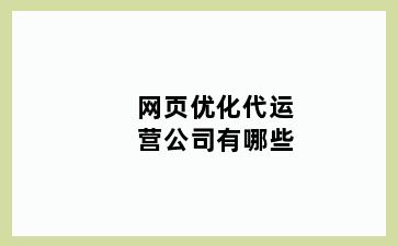 网页优化代运营公司有哪些