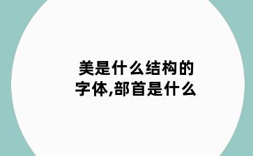 美是什么结构的字体,部首是什么