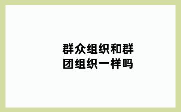 群众组织和群团组织一样吗