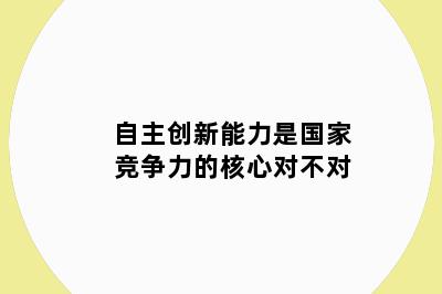 自主创新能力是国家竞争力的核心对不对