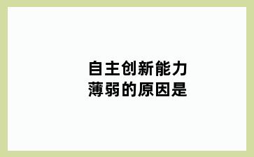 自主创新能力薄弱的原因是